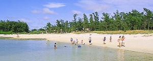 喜界島 池治海水浴場