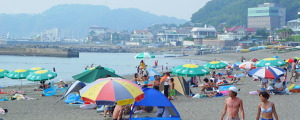 葉山・森戸海水浴場