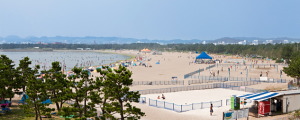 海の公園海水浴場