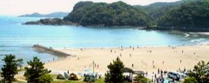 白浜海水浴場(高知県)