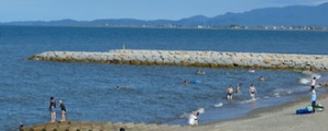 大淀海岸海水浴場