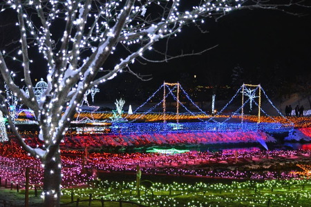 国営アルプスあづみの公園 光の森のページェント