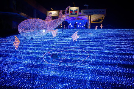 海遊館 ウィンターイルミネーション